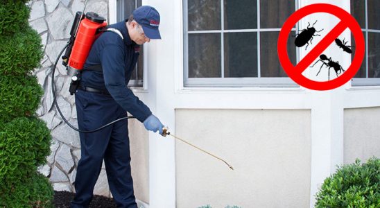 Keşan Karınca İlaçlama böcek ilaçlama ve haşere kontrolü — ilaclama-tr.com